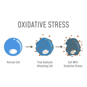 Oxidative Stress and Free Radicals