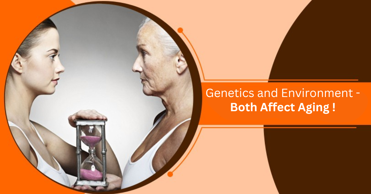 Role of Genetics And Environment in Aging